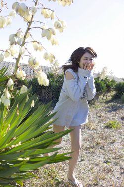 风过无痕