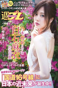 马桶门